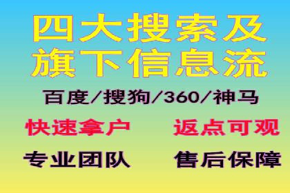 SEM代理服务：案例分享，效果显著